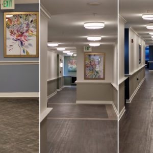Atrium Corridors with Accent Paint and Flooring